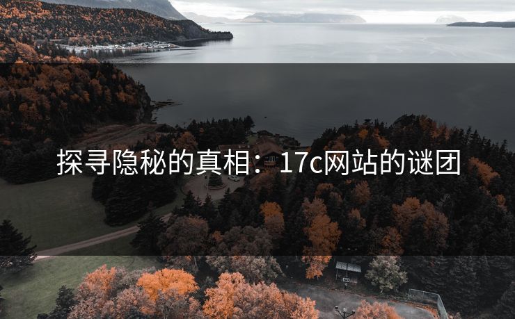 探寻隐秘的真相:17c网站的谜团 探寻隐秘的真相:17c网站的谜团