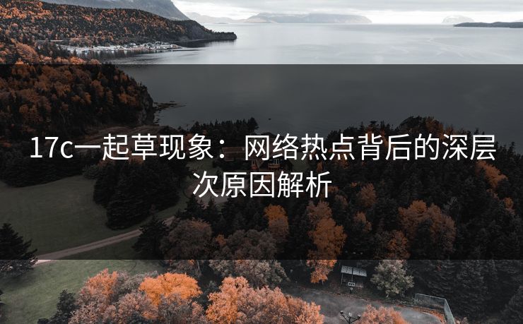17c一起草现象:网络热点背后的深层次原因解析