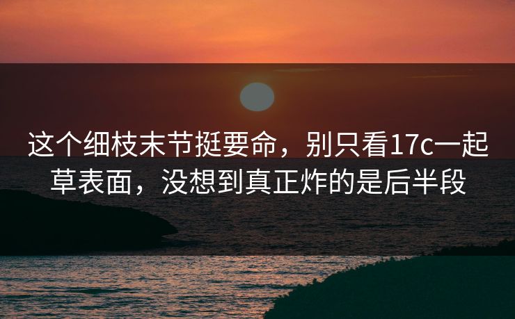 这个细枝末节挺要命，别只看17c一起草表面，没想到真正炸的是后半段