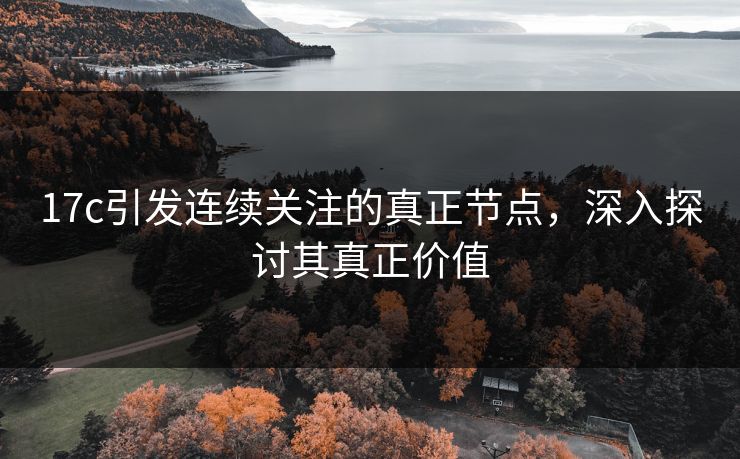 17c引发连续关注的真正节点，深入探讨其真正价值
