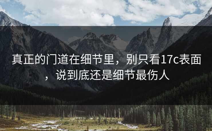 真正的门道在细节里，别只看17c表面，说到底还是细节最伤人