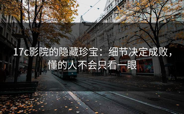 17c影院的隐藏珍宝:细节决定成败,懂的人不会只看一眼