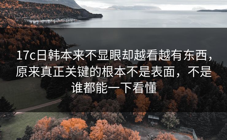 17c日韩本来不显眼却越看越有东西，原来真正关键的根本不是表面，不是谁都能一下看懂