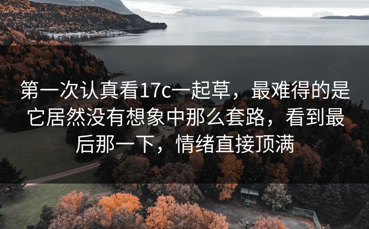 第一次认真看17c一起草,最难得的是它居然没有想象中那么套路,看到最后那一下,情绪直接顶满