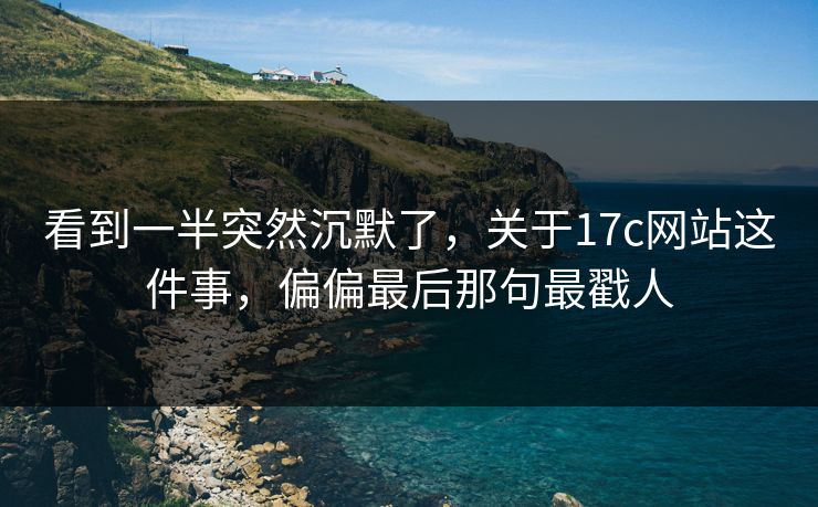 看到一半突然沉默了，关于17c网站这件事，偏偏最后那句最戳人