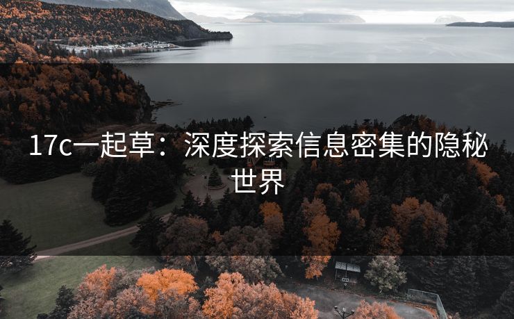 17c一起草:深度探索信息密集的隐秘世界